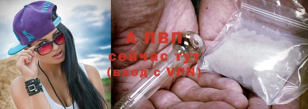 амф Бронницы