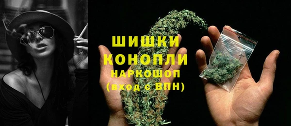 амф Бронницы