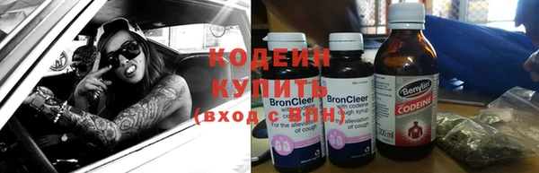 хмурый Бородино