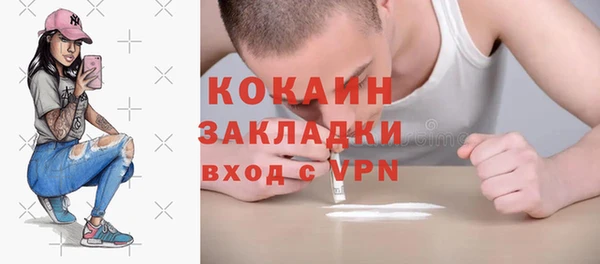 хмурый Бородино