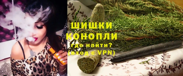 хмурый Бородино