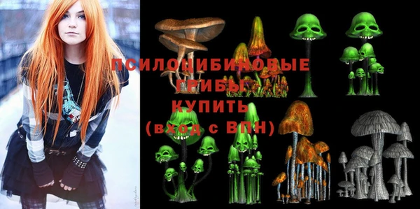 ГАЛЛЮЦИНОГЕННЫЕ ГРИБЫ Бугульма