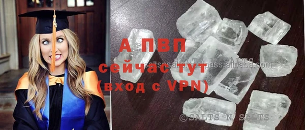 хмурый Бородино