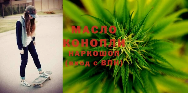 хмурый Бородино