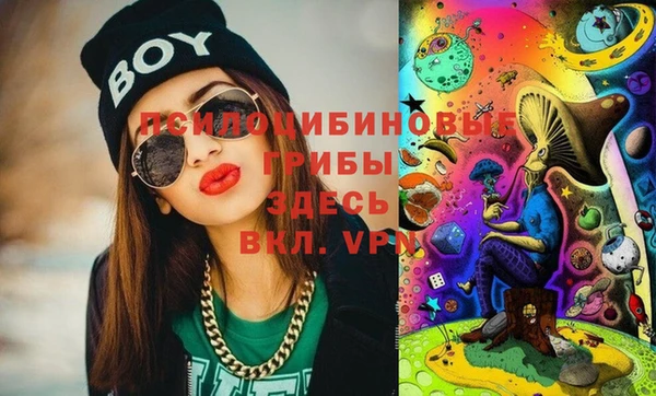хмурый Бородино