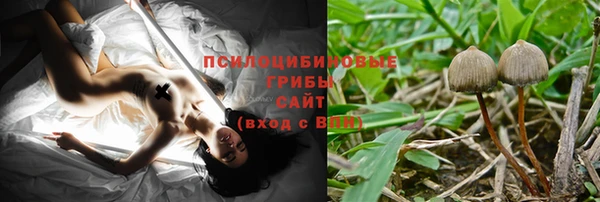 хмурый Бородино