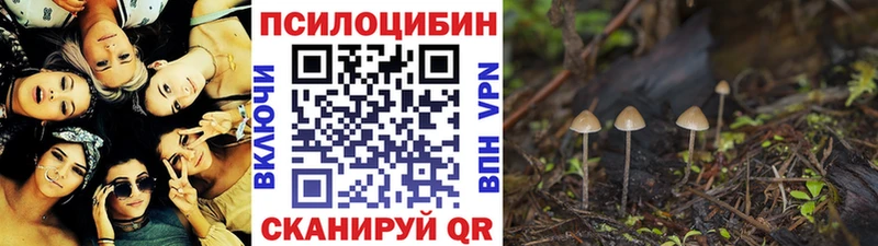 Галлюциногенные грибы ЛСД где купить наркоту Рязань